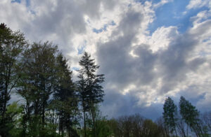 Firming26 "...und lebe als Mann!" - im Kreis der vier Archetypen